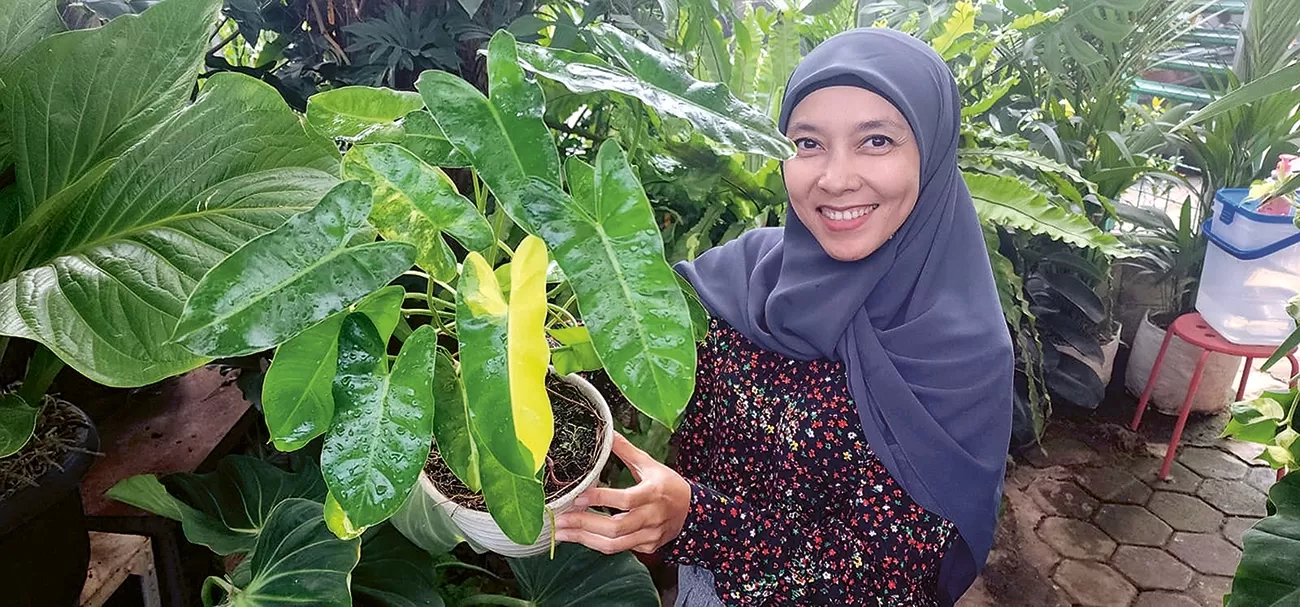 Berkunjung ke Kebun Me Time Factory, Philodendron Jadi Favorit dan Mudah Dirawat
