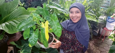 Berkunjung ke Kebun Me Time Factory, Philodendron Jadi Favorit dan Mudah Dirawat