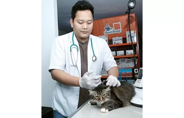 Memproteksi Anabul dari Serangan Penyakit di Musim Hujan: Beri Vaksin Lengkap, Jaga Makanan dari Kontaminan