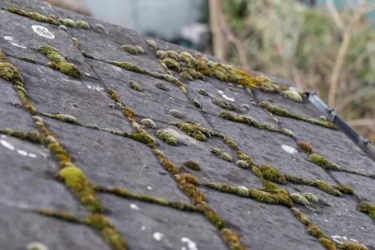 Penerapan Teknologi dan Standar Tinggi Diganjar Sertifikasi SNI