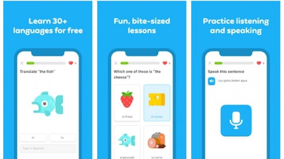 Duolingo PHK Karyawan Kontrak, Diganti Teknologi AI