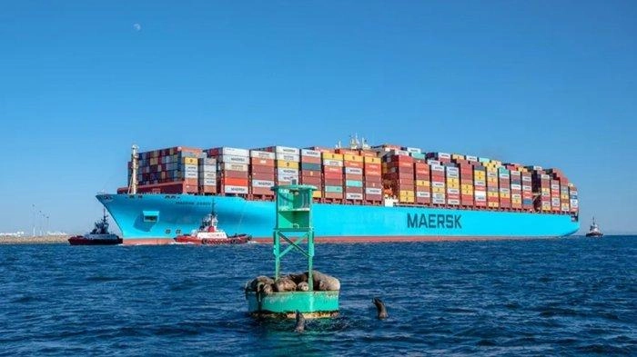 Serangan Houthi di Laut Merah Bikin Perdagangan Dunia Turun 1,3 Persen di Desember 2023