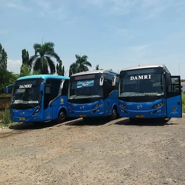Hingga 13 Januari Kemarin, Rute Terbaru Damri via JLS Belum Tersedia di Damri Apps