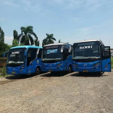 Hingga 13 Januari Kemarin, Rute Terbaru Damri via JLS Belum Tersedia di Damri Apps