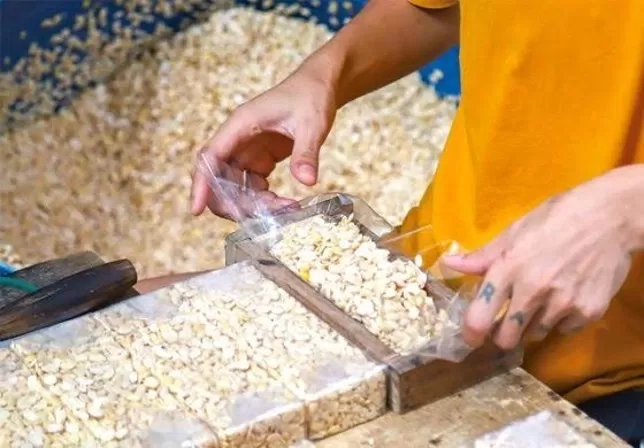 Nyesel Baru Tahu! Ini 5 Manfaat Rutin Mengonsumsi Tempe Setiap Hari bagi Kesehatan