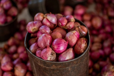 Minggu Kedua Januari 2024, Pemerintah Pelototi Kenaikan Harga Bawang Merah hingga Daging Ayam