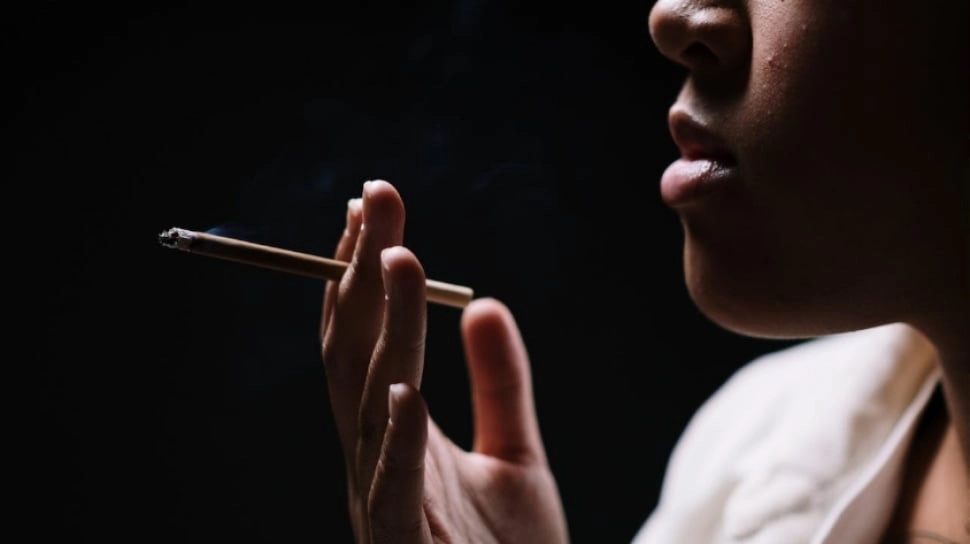Apakah Rokok Herbal Lebih Aman dari Rokok Biasa?