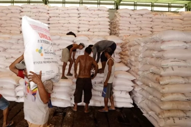 Stok Pupuk Subsidi Capai 1,9 Juta Ton, Pupuk Indonesia Siap Penuhi Kebutuhan Petani pada Musim Tanam I