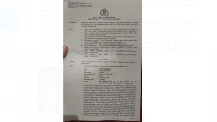 Henri Subiakto: Penangkapan Palti Salah Menerapkan Pasal UU ITE