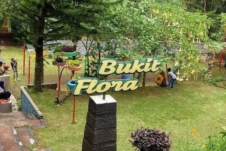 Bukit Flora Pasuruan: Daya Tarik, Harga Tiket, dan Jam Buka