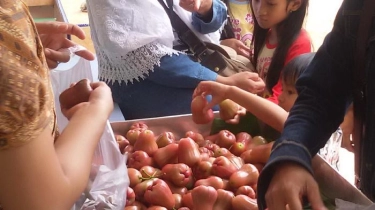 7 Manfaat Jambu Air untuk Kesehatan: Melancarkan Pencernaan hingga Mengurangi Racun dalam Tubuh