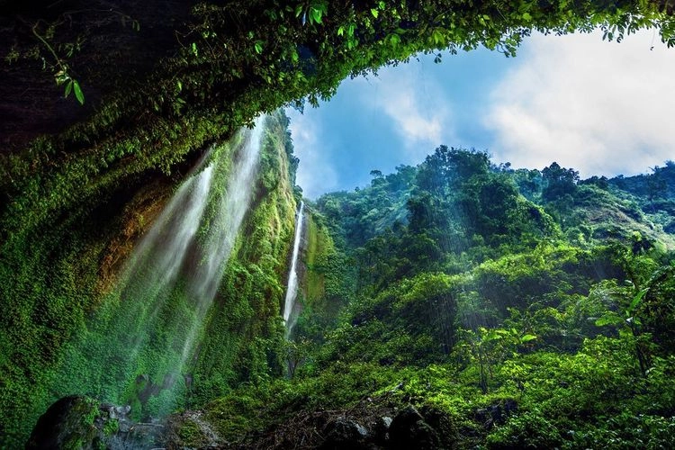Madakaripura Forest Park Probolinggo, Nikmati Indahnya Air Terjun di Lereng Bromo