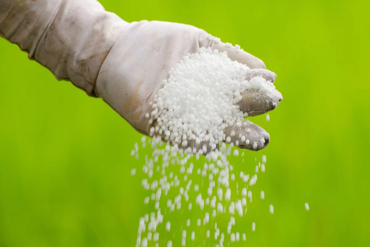 Pengamat Sebut Program Pupuk Subsidi Tak Ada Korelasi dengan Peningkatan Produksi