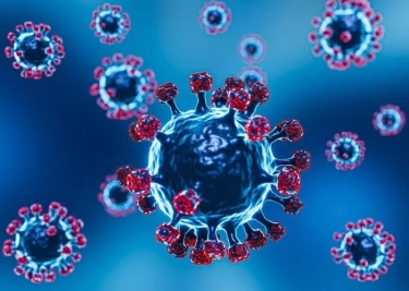 WHO Ingatkan Wabah Penyakit X, Persiapan Penanganan Baru Setelah Covid-19