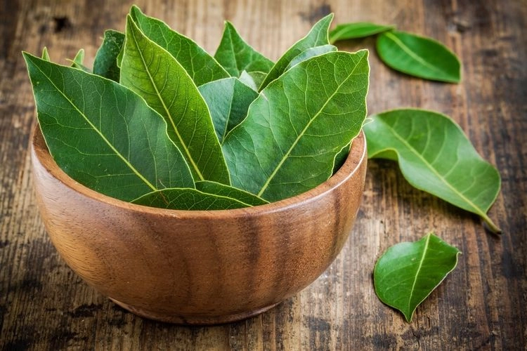 3 Rebusan Daun untuk Menurunkan Trigliserida Tinggi