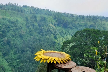 Spot Foto di Madakaripura Foret Park Probolinggo dan Tarifnya