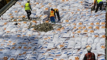 Jokowi Dinilai Serampangan Soal Keputusan Impor 3 Juta Ton Beras, Petani Sakit Hati