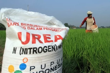 Petrokimia Gresik Gelar Pasar Pupuk Murah di Ngawi Sebagai Upaya Mendukung Ketahanan Pangan Nasional