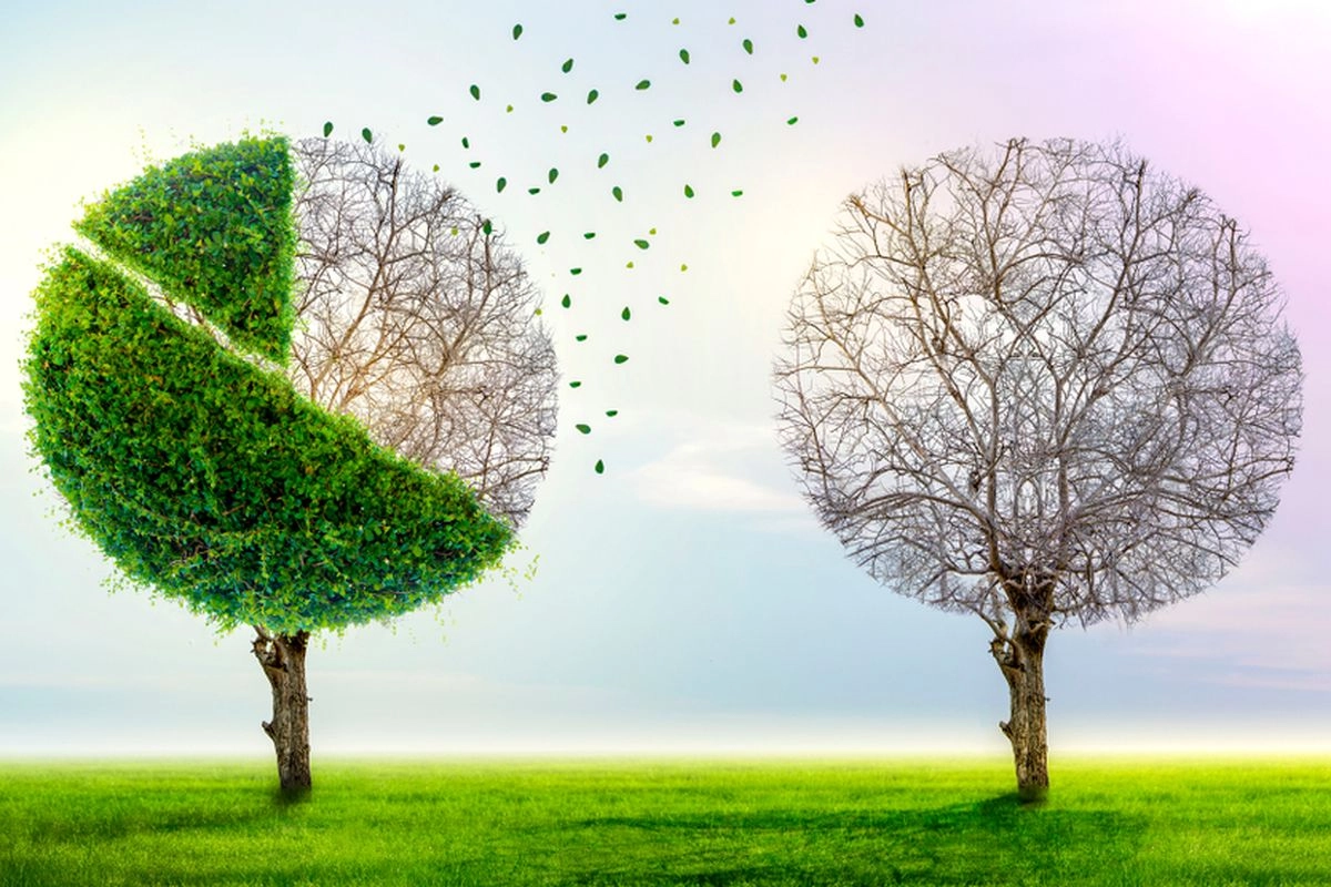 ''Green Inflation'' dan Ketahanan Energi Indonesia