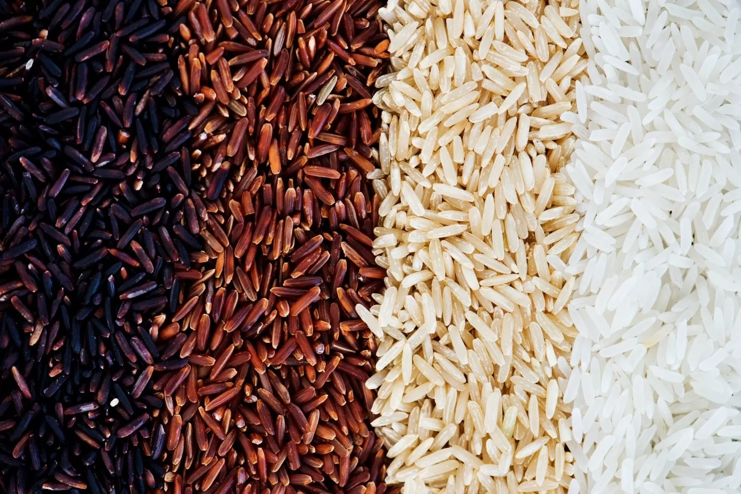Ada Banyak Jenis! Beras Merah, Hitam, Cokelat vs Putih, Mana yang Lebih Sehat Untuk Tubuh?