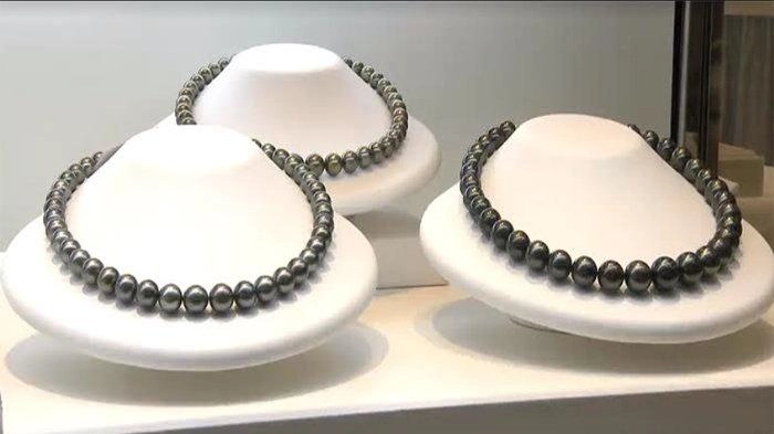 Pameran Mutiara di Kota Kochi Jepang Dibuka Mulai Hari Ini, Ada Mutiara dari Indonesia