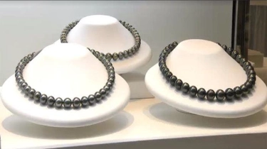 Pameran Mutiara di Kota Kochi Jepang Dibuka Mulai Hari Ini, Ada Mutiara dari Indonesia