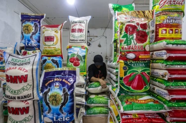 Harga Beras Premium Sentuh Rp 15.440/Kg, Medium Rp 13.570/Kg, Bapanas Klaim Inflasi Beras Masih Terkendali