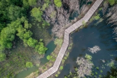 Kawasan Konservasi Bisa Serap Karbon 5 Kali Lebih Banyak, Butuh Pembagian Kewenangan yang Jelas Capai Target 30 Persen