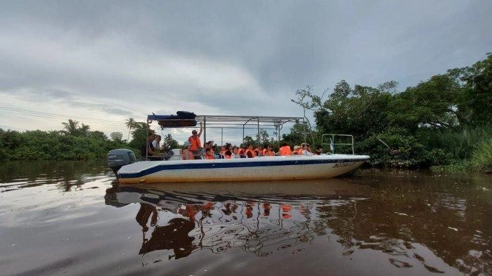 Jelajah Sungai Klias Wetland di Sabah, Malaysia, Bertemu Monyet dan Wisata Kunang-kunang