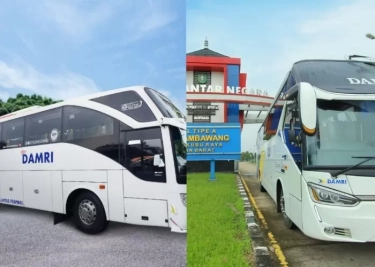 Mengenal Moda Transportasi Damri dan 7 Layanannya