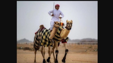 Remaja Saudi, Theyab bin Hamdan Al-Howaiti Kantongi 30 Penghargaan untuk Balap Unta