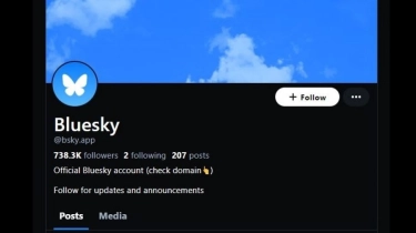 Apa Itu Bluesky? Media Sosial yang Naik Daun Saingi X