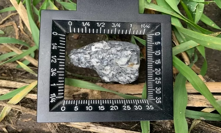 Penemuan Fragmen Asteroid di Dekat Berlin: Aubrite, Batuan Langka yang Tidak Diketahui Asal Usulnya