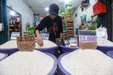 Sudah 2 Pekan Harga Beras Meroket jadi di Atas Rp 16.000 per Kg, Kondisi ini Diperkirakan jadi Penyebabnya