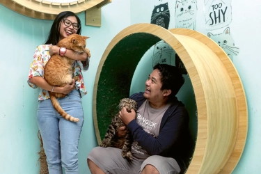 Trisetyani Suci Gigih Mengedukasi lewat @kucingmalasid: Edukasi Anabul tanpa Kenal Malas