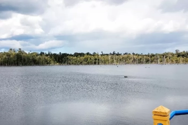 Sukses Desa Air Legit Kepri Maksimalkan Potensi Desa dengan Memanfaatkan BRImo, AgenBrilink, dan QRIS