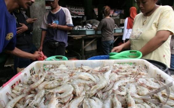 Ahli Gizi Jelaskan Manfaat Kandungan Udang Bagi Tubuh: Mampu Perbaiki Jaringan yang Rusak