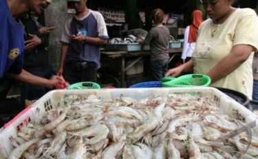 Ahli Gizi Jelaskan Manfaat Kandungan Udang Bagi Tubuh: Mampu Perbaiki Jaringan yang Rusak