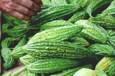 Di Balik Rasanya yang Pahit, Pare Memiliki Khasiat Luar Biasa untuk Tubuh, untuk Apa Saja?