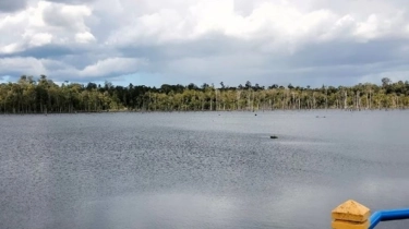 Kisah Desa Air Lengit Maksimalkan Potensi Jahe dan Inklusi Keuangan lewat BRImo, AgenBRILink, serta QRIS