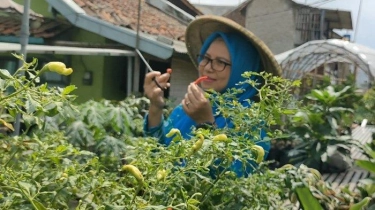 Program BRInita Sukses Jadikan Kelurahan Padjajaran Bandung Jadi Percontohan Urban Farming