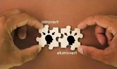 Yuk Simak Mengenai Ambivert Beserta Manfaat Menjadi Orang dengan Kepribadian Tersebut