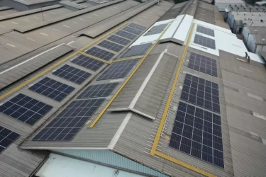 Program Pacific Paint for Bright Life Dukung Masa Depan Berkelanjutan