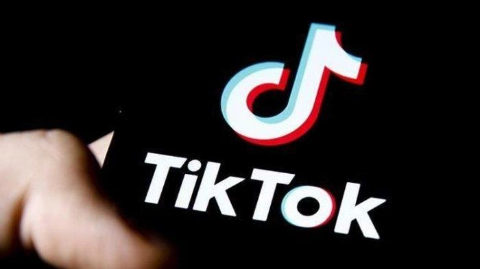 Ekonom: TikTok Harus Pisahkan E-Commerce dengan Media Sosial