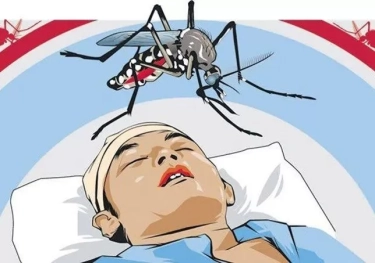 Penyakit DBD di Mojoagung Semakin Tinggi, Warga Keluhkan Lambatnya Kegiatan Fogging