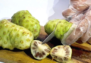 Manfaat Tersembunyi Jus Mengkudu untuk Kulit Sehat, dari Awet Muda hingga Perlindungan Sinar Matahari