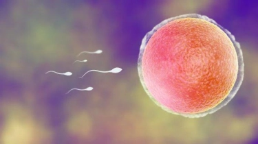 3 Tips Menjaga Sperma Tetap Bagus dan Baik Agar Anak Terhindar Dari Stunting dan Cacat
