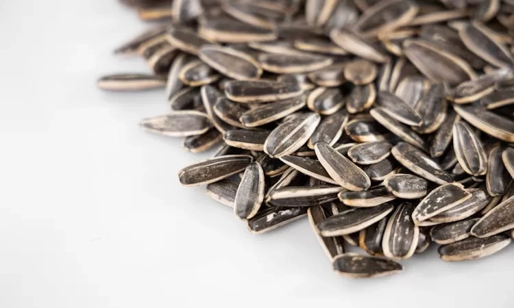 Amankah Mengonsumsi Kuaci Beserta Kulitnya? Simak Penjelasan Berikut