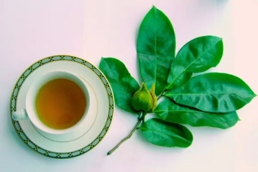 Hasil Penelitian Membuktikan 6 Manfaat Minum Air Rebusan Daun Sirsak untuk Kesehatan, Simak!