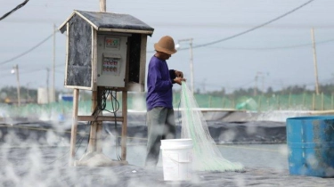 Lembaga Pembangunan Amerika Serikat Dukung Program Perikanan Berkelanjutan KKP